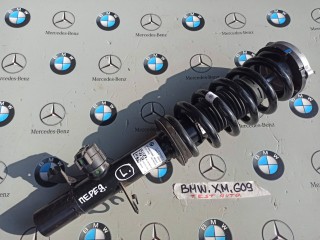 амортизатор передний левый BMW XM G09 2023, 4.4 л., бензин, c5y, 5A3AE91