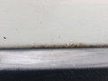 дверь передняя правая Honda CR-V 3 поколение [рестайлинг] 2011, 2.2 л., дизель, белый, внедорожник 5 дв. - фото №3