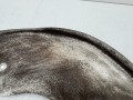 защитный кожух тормозного механизма Porsche Macan 1 поколение [рестайлинг] 2020, 2.9 л., бензин, АКПП, внедорожник 5 дв., 8K0615612A - фото №9