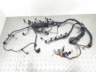 проводка двигателя BMW X5 E53 [рестайлинг] 2005, 3.0 л., TD, дизель, АКПП, внедорожник 5 дв., полный привод, 12517800942, 12517796819, 7800942, 7796819