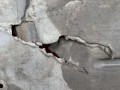 защита днища BMW X1 E84 2010, 51757244593, 7244593 - фото №4