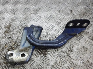 петля капота Ford Focus 3 поколение 2013, 1.6 л., дизель, МКПП, универсал, BM51A16801AD