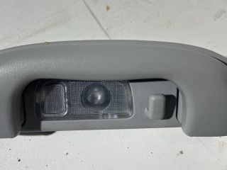 ручка внутренняя потолочная Chevrolet Equinox 3 поколение 2020, 1.5 л., бензин, АКПП, внедорожник 5 дв., передний привод