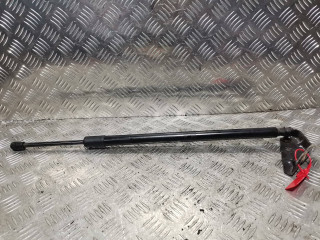 амортизатор крышки багажника (3-5 двери) Chevrolet Equinox 3 поколение 2020, 1.5 л., бензин, АКПП, внедорожник 5 дв., передний привод