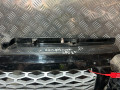 решетка радиатора Land Rover Range Rover Sport 1 поколение 2009, 3.0 л., дизель, АКПП, внедорожник 5 дв., G0608B1 - фото №4
