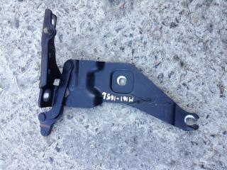 петля двери BMW X6 E71/E72 2010, 3.0 л., N57 D30 A, дизель, АКПП, внедорожник 5 дв., 7208627