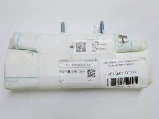 подушка безопасности коленная  2022, X0156030012