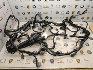 проводка двигателя Subaru Outback 6 поколение 2022, 2.5 л., бензин