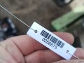 КПП механическая (МКПП) Nissan X-Trail T30 2002, 2.2 л., дизель, МКПП, внедорожник 5 дв., 9H51002312, I300143 - фото №2