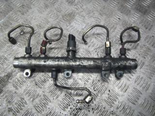 топливная рампа Peugeot Boxer 1 поколение [рестайлинг] 2005, 2.8 л., дизель, 0281002405, 0445224009