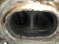 двигатель Ford Maverick 2 поколение TM1 (2000 - 2004), 3.0 л., i, AJ, бензин, AJ - фото №6