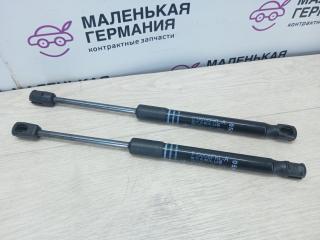 амортизатор капота BMW 5 серия F10/F11 [рестайлинг] F10 (2013 - 2017), 2.0 л., N20 B20 A, бензин, коричневый, седан, 51237309119, 7309119
