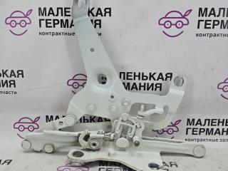 петля капота правая BMW X5 F15 (2013 - 2018), 3.0 л., N57 D30 A, дизель, АКПП, 41007381782, 7381782, 7294530, 172053, 17205310