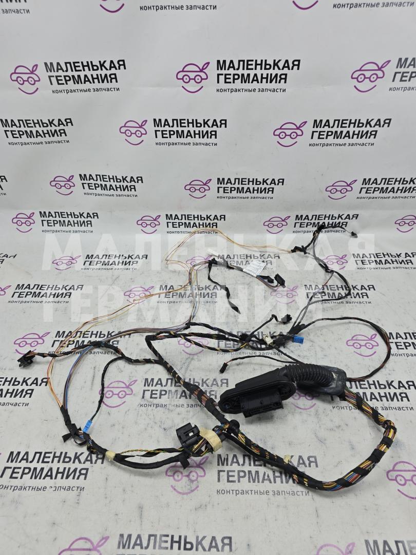 дверная проводка BMW X4 F26 2014, 2.0 л., N20 B20 A, бензин, АКПП, 475 black sapphire metallic, полный привод, правый руль, 9315114, 9315122, 61129243663, 9243663 - фото №1