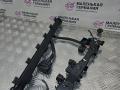 проводка двигателя BMW 5 серия F07/F10/F11 F11 2010, 2.5 л., N52 B25 AF, бензин, АКПП, универсал, задний привод, правый руль, 12527584696, 12527584697 - фото №2