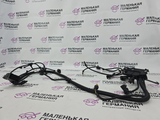 проводка двигателя BMW X5 E70 [рестайлинг] 2011, 3.0 л., N55 B30 A, бензин, АКПП, белый, правый руль, 12527585027, 12527589638, 7616097, 7616101