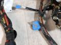 проводка BMW X5 F15 2014, 3.0 л., N57 D30 A, дизель, АКПП, mineralweiss metallic (a96), полный привод, правый руль, 61112357479, 2357479, 61112357480, 2357480, 61112357481, 2357481 - фото №10