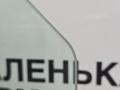 стекло двери задней правой BMW X1 F48 2017, 2.0 л., B48 A20 B, бензин, АКПП, alpinweiss 3 (300), полный привод, правый руль, 51357349498, 7349498 - фото №8