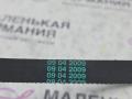 ремень ручейковый BMW X5 E70 2009, 3.0 л., N52 B30 AF, бензин, АКПП, полный привод, 11287552084, 7552084 - фото №6