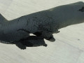 трубка вентиляции картерных газов BMW 5 серия F07/F10/F11 (2009 - 2013), 2.5 л., N52 B25 AF, бензин, АКПП, 11157581815, 7581815 - фото №6