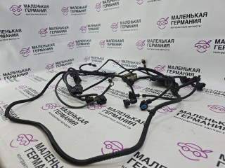 проводка двигателя BMW X5 E70 [рестайлинг] 2011, 3.0 л., N55 B30 A, бензин, АКПП, белый, правый руль, 12527591981, 7591981