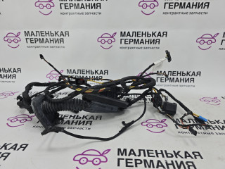 дверная проводка BMW 6 серия F06/F12/F13 2012, 4.4 л., N63 B44 B, бензин, АКПП, alpinweiss 3 (300), хетчбэк 5 дв., задний привод, правый руль, 7202637, 9255415, 9255414, 61129303716, 9303716