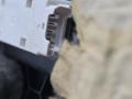 накладка на торпедо (консоль) BMW X5 F15 2013, 3.0 л., N57 D30 A, дизель, АКПП, mineralweiss metallic (a96), внедорожник 5 дв., полный привод, правый руль, 51459252421, 9252421 - фото №8