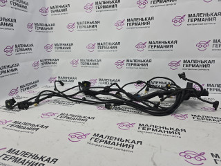 проводка двигателя BMW 5 серия G30/G31 G31 2017, 2.0 л., B48 B20 B, бензин, АКПП, alpinweiss 3 (300), универсал, правый руль, 12528605928, 8605928, 12518644498, 8644498