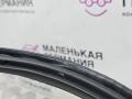 уплотнитель двери BMW 5 серия G30/G31 G30 2017, 2.0 л., B47 D20 A, дизель, АКПП, black sapphire metallic (475), седан, задний привод, правый руль, 51727468732, 7468732, 7381326 - фото №8