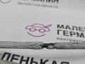 трос капота BMW X6 F16 2014, 3.0 л., N55 B30 A, бензин, АКПП, красный, правый руль, 51237367536, 7367536 - фото №12