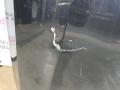 капот BMW 8 серия G14/G15 G15 2021, 4.4 л., N63B44D, бензин, АКПП, черный, купе, полный привод, 41007464711, 7464711 - фото №13