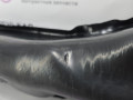 шумоизоляция (термозащита) BMW X1 F48 2017, 2.0 л., B48 A20 B, бензин, АКПП, синий mediterranblau c10, полный привод, правый руль, 51487398419, 7398419 - фото №3