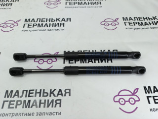 амортизатор капота BMW 5 серия G30/G31 G31 2017, 2.0 л., B48 B20 B, бензин, АКПП, alpinweiss 3 (300), универсал, правый руль, 51237347402, 7347402