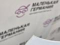 капот BMW X5 F15 2013, 3.0 л., N57 D30 A, дизель, АКПП, 300 alpinweiss iii, полный привод, правый руль, 41007381758, 7381758 - фото №6