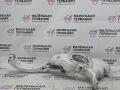 кулак поворотный левый BMW X6 F16 2014, 3.0 л., N55 B30 A, бензин, АКПП, красный, правый руль, 31216773783, 6773783 - фото №3