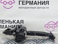 ограничитель открывания двери BMW X5 G05 2021, 3.0 л., B58B30C, бензин, черный, полный привод, 7431278 - фото №2