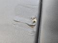 салон (комплект сидений) BMW 8 серия G14/G15 G15 2021, 4.4 л., N63B44D, бензин, АКПП, черный, купе, полный привод, 90219421, 7444769, 7451619 - фото №216