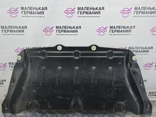 защита бампера (кенгурятник) BMW 5 серия G30/G31 G30 2017, 2.0 л., B47 D20 A, дизель, АКПП, black sapphire metallic (475), седан, задний привод, правый руль, 51757363730, 7363730