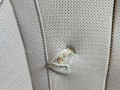 салон (комплект сидений) BMW X5 F15 2013, 3.0 л., N57 D30 A, дизель, АКПП, mineralweiss metallic (a96), внедорожник 5 дв., полный привод, правый руль, 52107352277, 52107450841, 52107483655, 52107352308, 52107352309, 52107411496, 52107480193, 52107480194, 52207353353, 52207480245 - фото №7