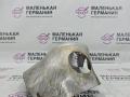 защита (экран) выпускного коллектора Mercedes-Benz A-Класс W176 2013, 2.0 л., M 270.920, бензин, робот, серый, хетчбэк 5 дв., передний привод, правый руль, A2701420920 - фото №4