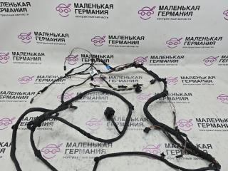 дверная проводка BMW 5 серия F10/F11 [рестайлинг] F10 2013, 2.0 л., N20 B20 A, бензин, серебро, седан