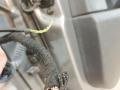 дверная проводка BMW X3 F25 2013, 2.0 л., N20 B20 A, бензин, АКПП, а52/7 spacegrau, хетчбэк 5 дв., полный привод, правый руль, 61129243667, 9243667 - фото №9