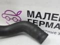 патрубок радиатора BMW 6 серия F06/F12/F13 2012, 4.4 л., N63 B44 B, бензин, АКПП, alpinweiss 3 (300), хетчбэк 5 дв., задний привод, правый руль, 64539119168, 9119168 - фото №8
