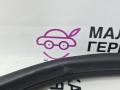 уплотнитель двери BMW X1 F48 2017, 2.0 л., B48 A20 B, бензин, АКПП, alpinweiss 3 (300), полный привод, правый руль, 7349665, 51727440034, 7440034 - фото №11
