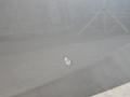 капот BMW X5 M F85 2016, 4.4 л., S63 B44 B, бензин, АКПП, donington grau (c28), полный привод, 41007381758, 7381758 - фото №35