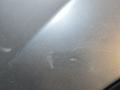 бампер передний BMW X6 E71/E72 E71 2009, 3.0 л., N54 B30 A, бензин, серебро, правый руль, 51117052398, 7052398, 51117176266, 7176266, 7176275, 7952137, 89211149, 51117176282, 71762282, 51117176270, 71762270, 7176276, 9219629, 51117179848, 7179848 - фото №16