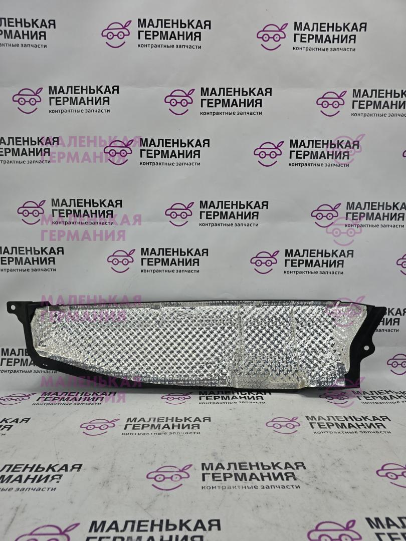 перегородка BMW X1 F48 2016, 2.0 л., B47 C20 A, дизель, АКПП, alpinweiss 3 (300), передний привод, правый руль, 51717290716, 7290716 - фото №1