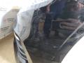 передняя часть (ноускат) BMW 5 серия G30/G31 G30 2018, 2.0 л., B48 B20 A, бензин, АКПП, черный 475, седан, задний привод, правый руль, 11518482744, 17118484638, 64509109858, 51117385288, 51117427441, 63117214954, 63117214953, 17428677741, 17427953401, 66316891746, 8499113, 8499114, 8686163, 7953401, 51647383855, 7383855, 17118743664, 17427953401, 90051532, 90051531 - фото №37
