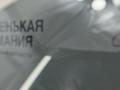стекло двери передней левой BMW X5 M F85 2016, 4.4 л., S63 B44 B, бензин, АКПП, donington grau (c28), полный привод, 51337470631, 7470631, 51337283501, 7283501 - фото №5