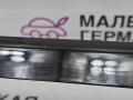 накладка на торпедо (консоль) BMW 6 серия F06/F12/F13 2012, 4.4 л., N63 B44 B, бензин, АКПП, alpinweiss 3 (300), хетчбэк 5 дв., задний привод, правый руль, 51459197522, 9197522 - фото №3